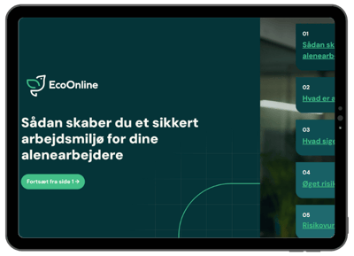 Guide om alenearbejde - forside-1