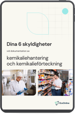 Dina 6 Title Page Mock Up