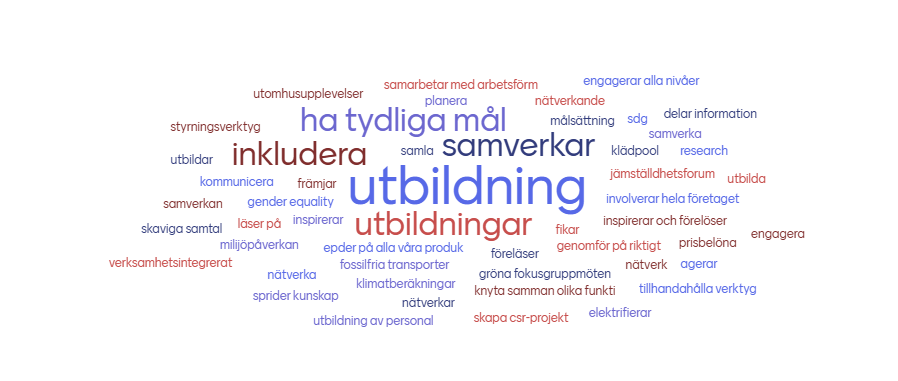 SE AST Wordcloud 2025