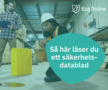 SE _How-to-read-SDS-webinar_Image