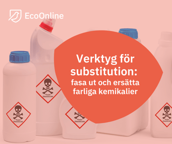 SE _Substitution-webinar_Image
