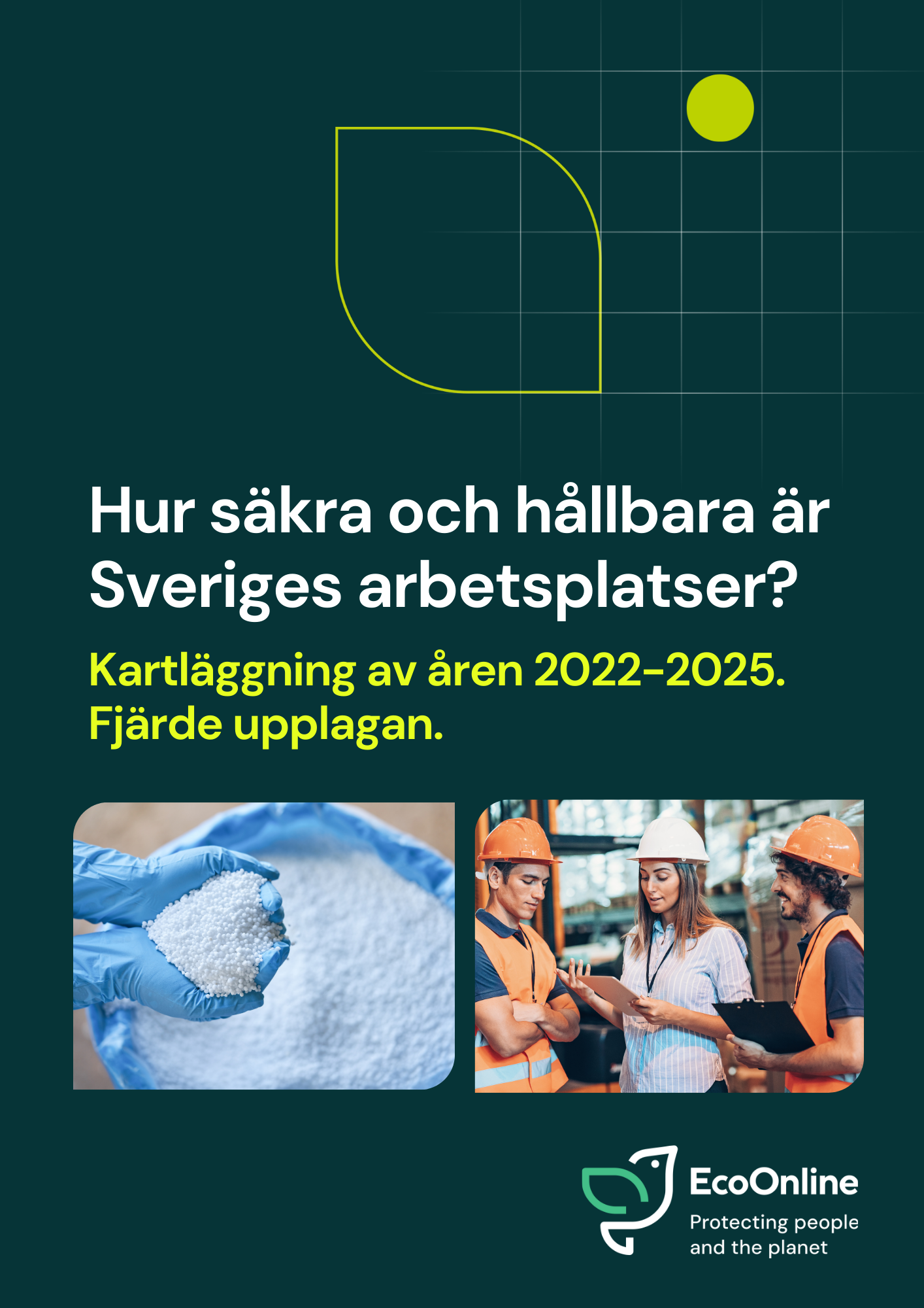 SE _Image_Survey 2025 Cover